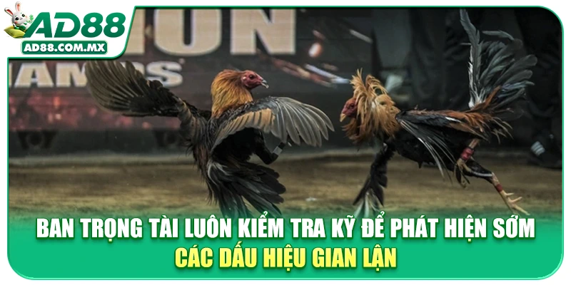 Ban trọng tài luôn kiểm tra kỹ để phát hiện sớm các dấu hiệu gian lận