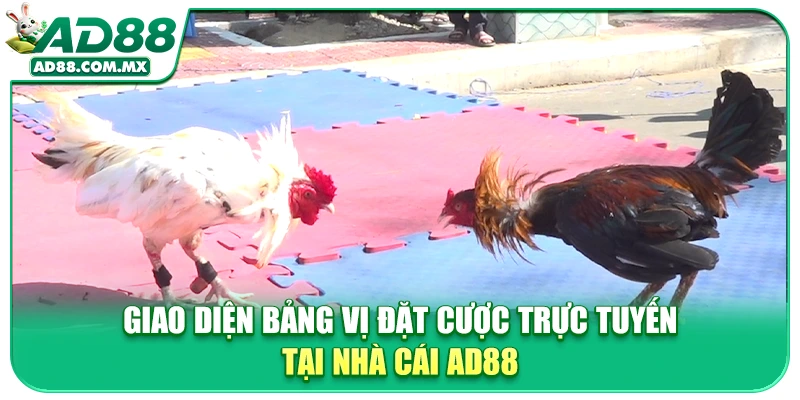 Giao diện bảng vị đặt cược trực tuyến tại nhà cái AD88