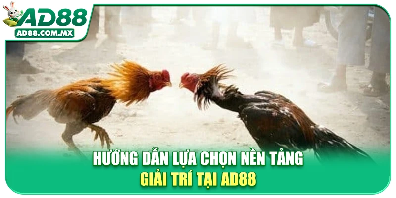 Hướng dẫn lựa chọn nền tảng giải trí tại AD88