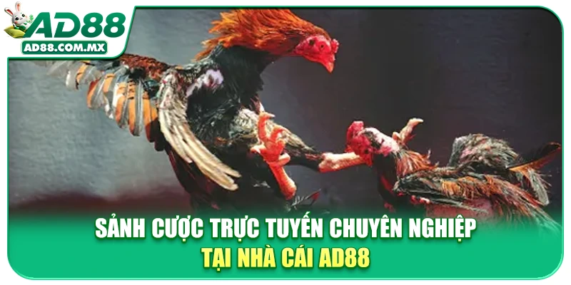 Sảnh cược trực tuyến chuyên nghiệp tại nhà cái AD88
